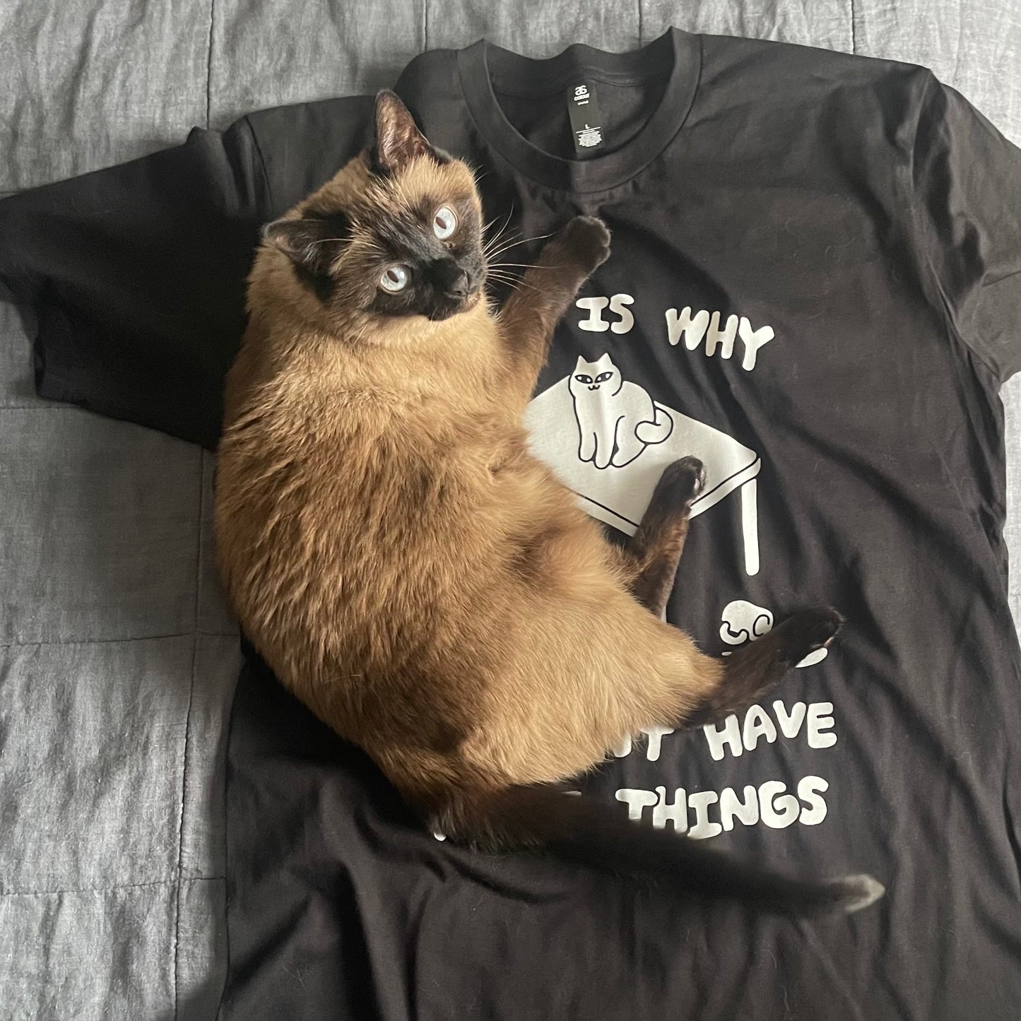 "This Is Why We Can't Have Nice Things" Shirt