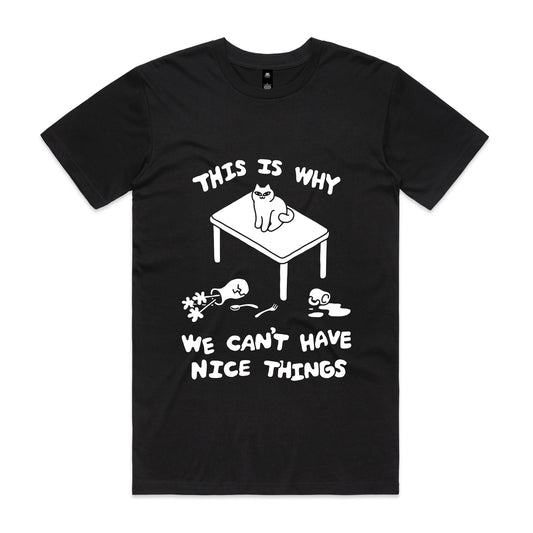 "This Is Why We Can't Have Nice Things" Shirt
